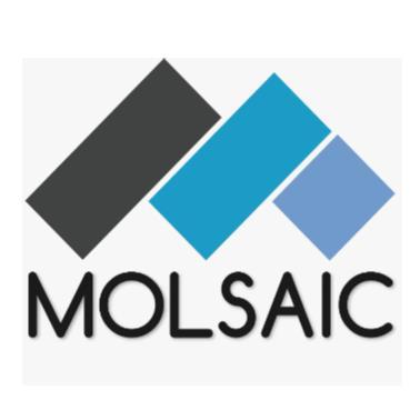 MOLSAIC