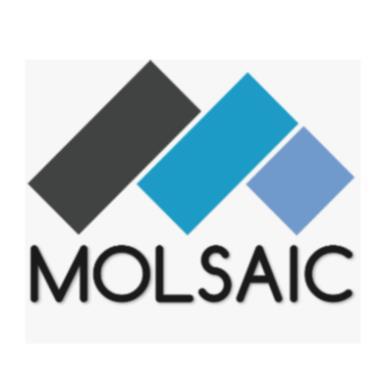 MOLSAIC