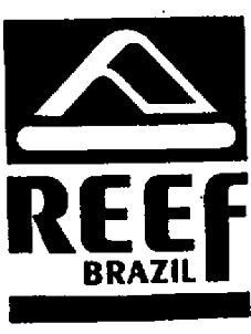 REEF BRAZIL