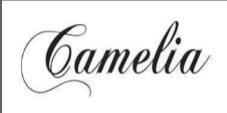 CAMELIA