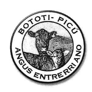 BOTOTI-PICU ANGUS ENTRERRIANO