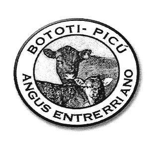 BOTOTI-PICU ANGUS ENTRERRIANO