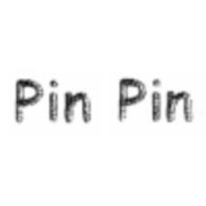 PIN PIN