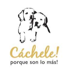 CÁCHELE! PORQUE SON LO MAS!