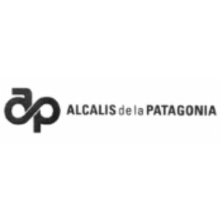 AP ALCALIS DE LA PATAGONIA