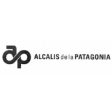 AP ALCALIS DE LA PATAGONIA