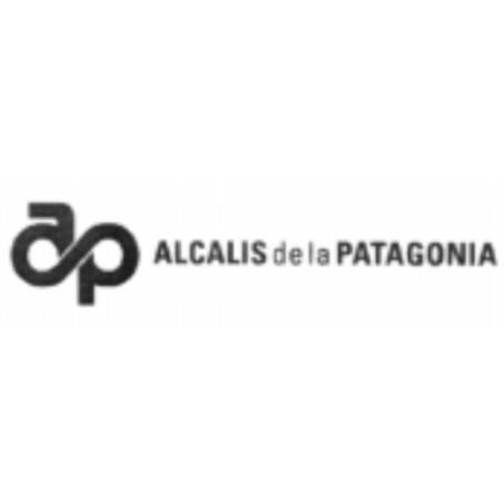 AP ALCALIS DE LA PATAGONIA