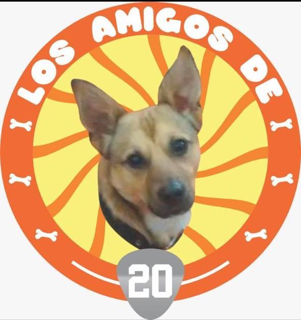 LOS AMIGOS DE 20