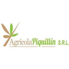 AGRICOLA PIQUILLIN S.R.L.