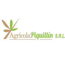 AGRICOLA PIQUILLIN S.R.L.