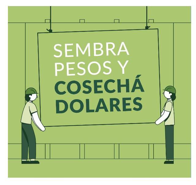 SEMBRA PESOS Y COSECHA DOLARES