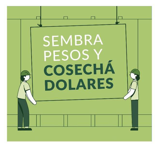 SEMBRA PESOS Y COSECHA DOLARES