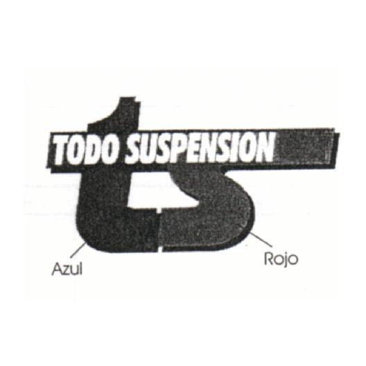 TS TODO SUSPENSION