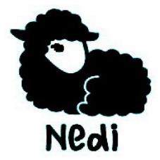 NEDI