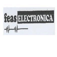 FEAS ELECTRONICA