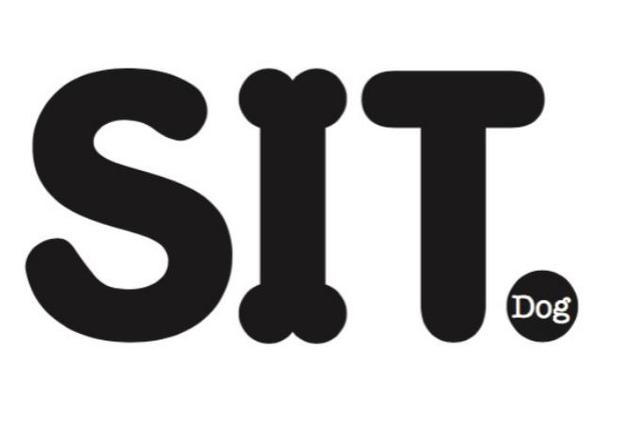 SIT  DOG
