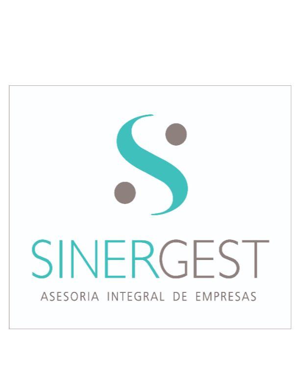 SINERGEST ASESORIA INTEGRAL DE EMPRESAS