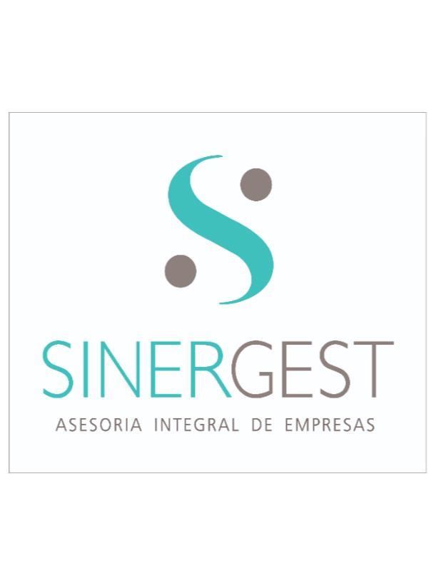 SINERGEST