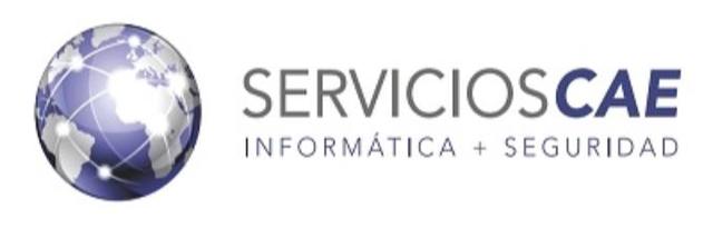 SERVICIOS CAE INFORMATICA + SEGURIDAD