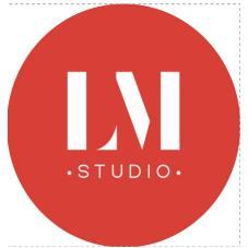 LM STUDIO