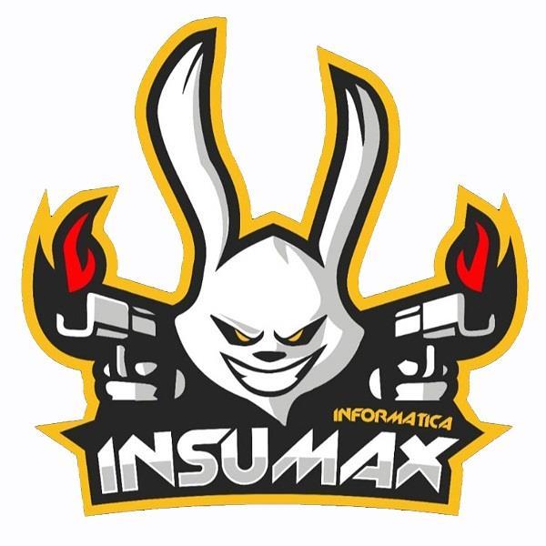 INSUMAX INFORMATICA