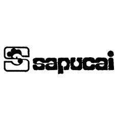 S SAPUCAI