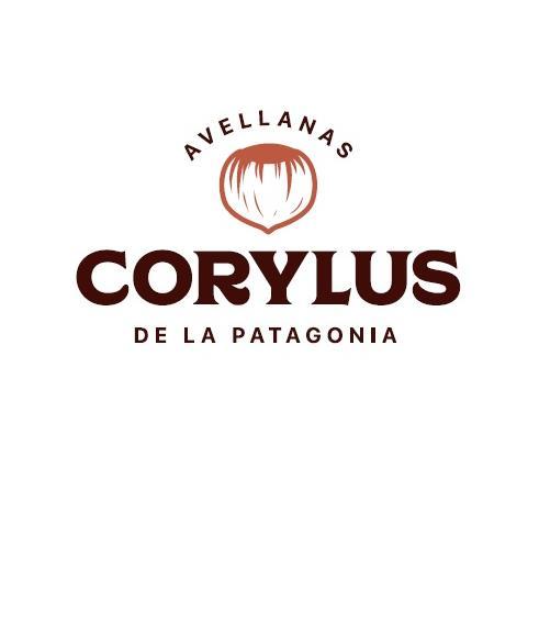 AVELLANAS CORYLUS DE LA PATAGONIA