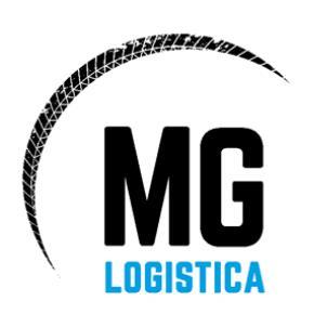 MG LOGISTICA