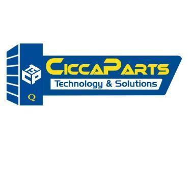 CPTS CICCAPARTS TECHNOLOGY & SOLUTIONS