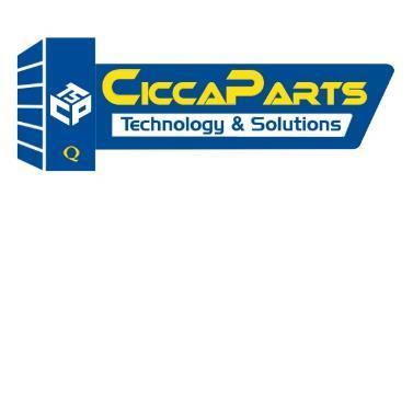 CPTS CICCAPARTS TECHNOLOGY & SOLUTIONS