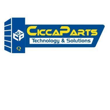 CICCAPARTS TECHNOLOGY & SOLUTIONS