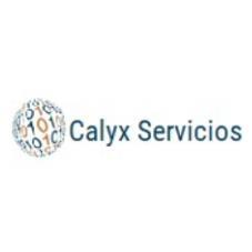CALYX SERVICIOS
