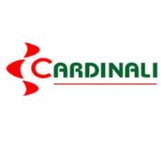 CARDINALI