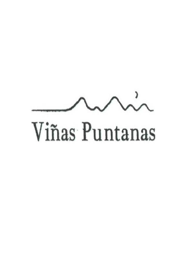 VIÑAS PUNTANAS