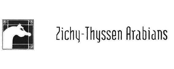 ZICHY THYSSEN ARABIANS