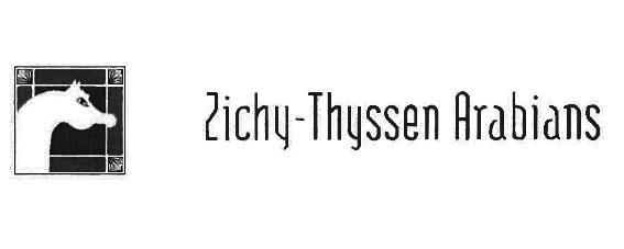 ZICHY THYSSEN ARABIANS