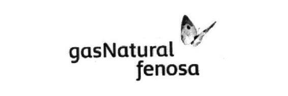 GASNATURAL FENOSA