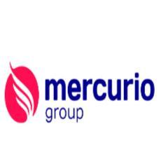 MERCURIO GROUP