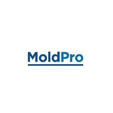 MOLDPRO