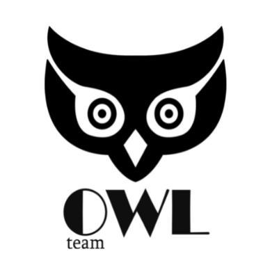 OWL TEAM