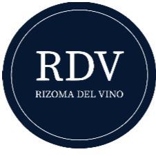 RIZOMA DEL VINO