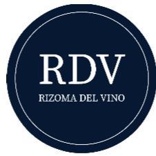 RIZOMA DEL VINO