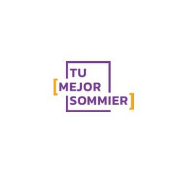 TU MEJOR SOMMIER