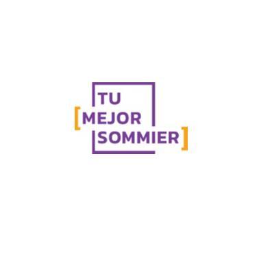 TU MEJOR SOMMIER