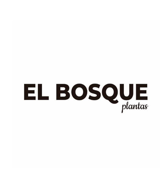 EL BOSQUE PLANTAS