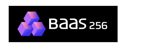BAAS 256