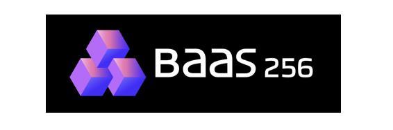 BAAS 256