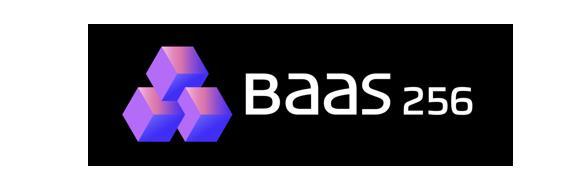 BAAS 256