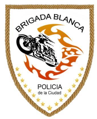 BRIGADA BLANCA POLICIA DE LA CIUDAD