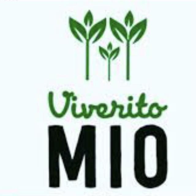 VIVERITO MIO